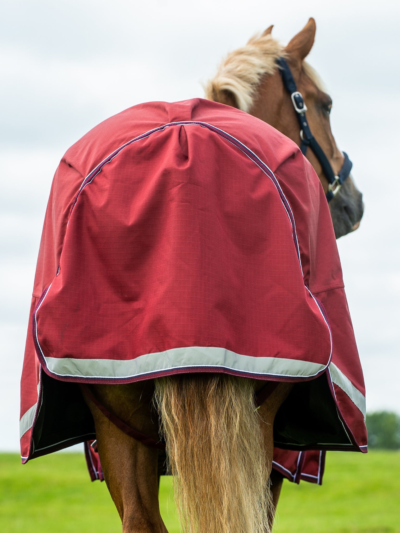Epic Essential 40g Turnout Rug  -  Broad Fit