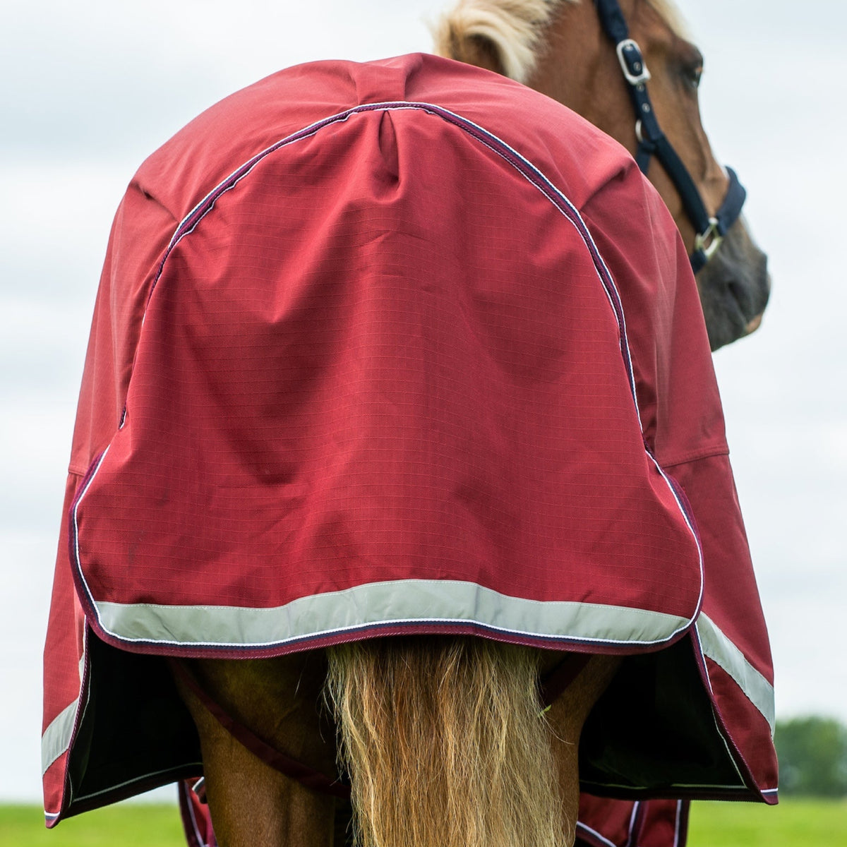 Horse wearing a red raincoat with reflective stripes in a grassy field.