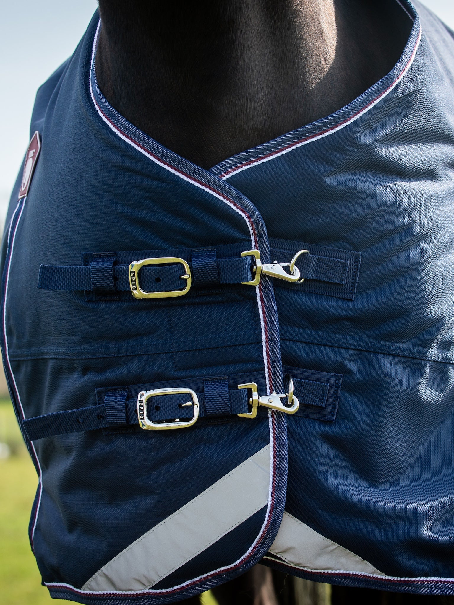 Epic Essential 40g Turnout Rug  -  Regular Fit