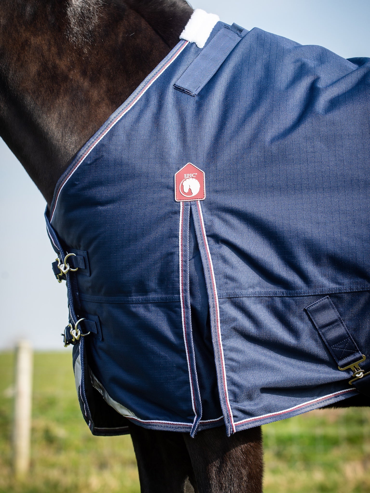 Epic Essential 40g Turnout Rug  -  Regular Fit