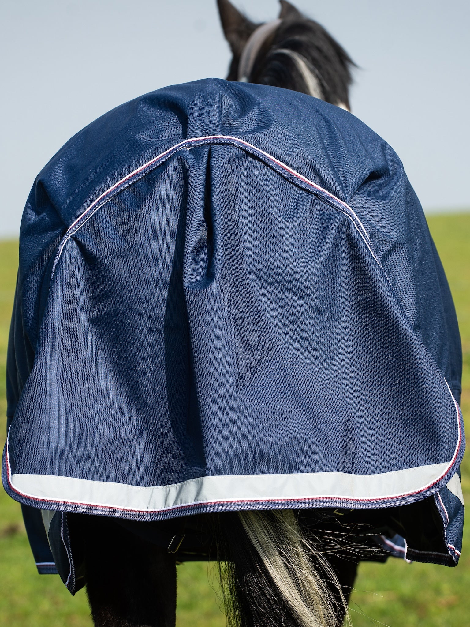 Epic Essential 40g Turnout Rug  -  Regular Fit