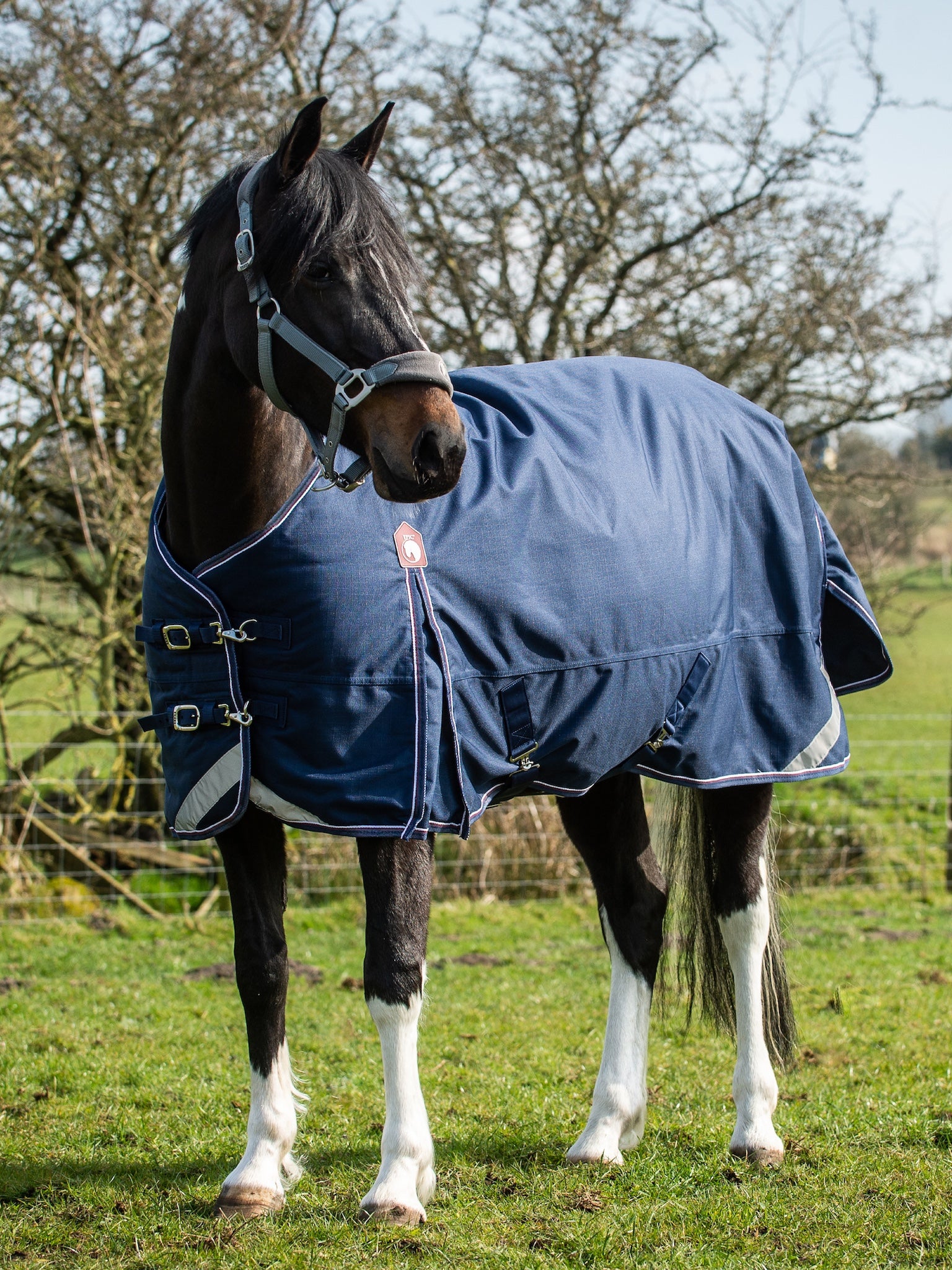 Epic Essential 40g Turnout Rug  -  Regular Fit