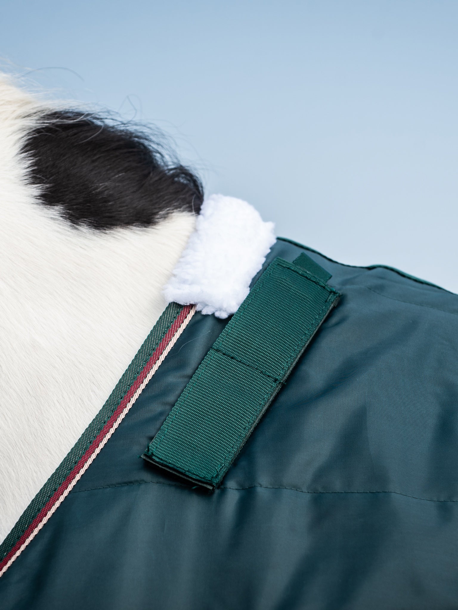 Epic Essential 100g Stable Rug - Regular Fit