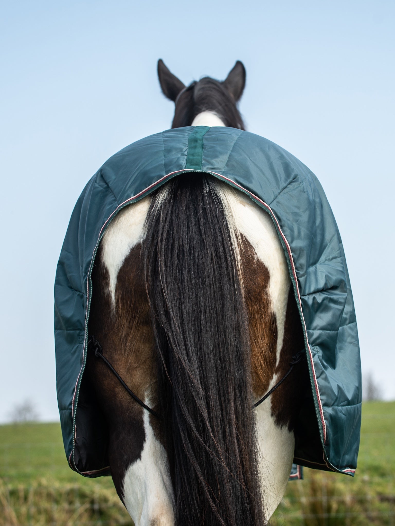 Epic Essential 100g Stable Rug - Regular Fit