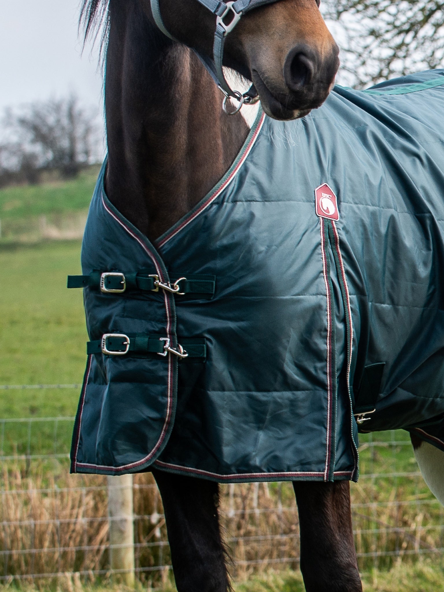 Epic Essential 50g Stable Rug - Regular Fit