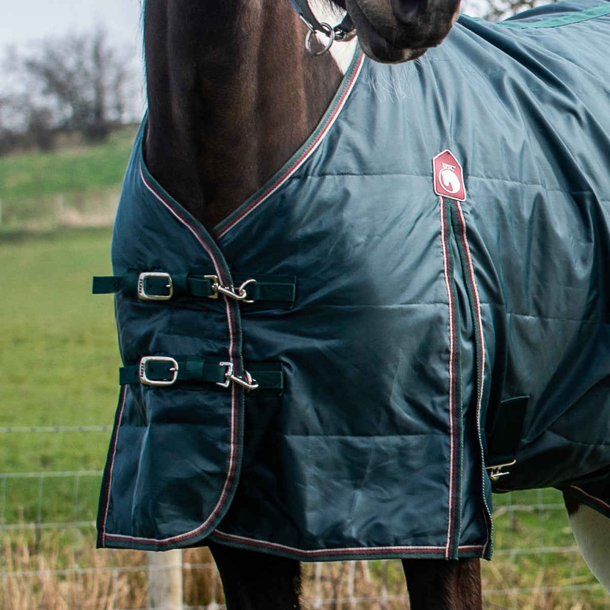 Epic Essential 100g Stable Rug - Regular Fit - Forest