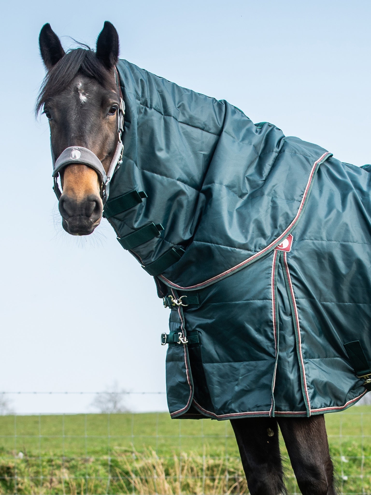 Epic Essential 50g Stable Hood - Regular Fit