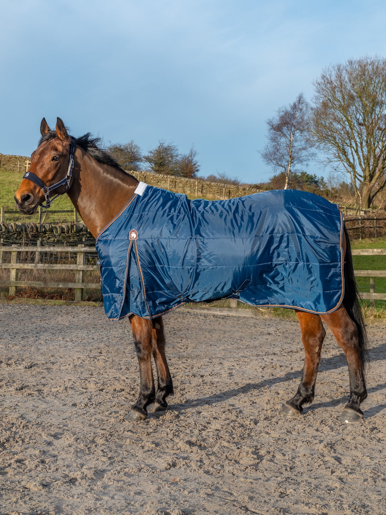 Epic Essential 200g Stable Rug - Regular Fit