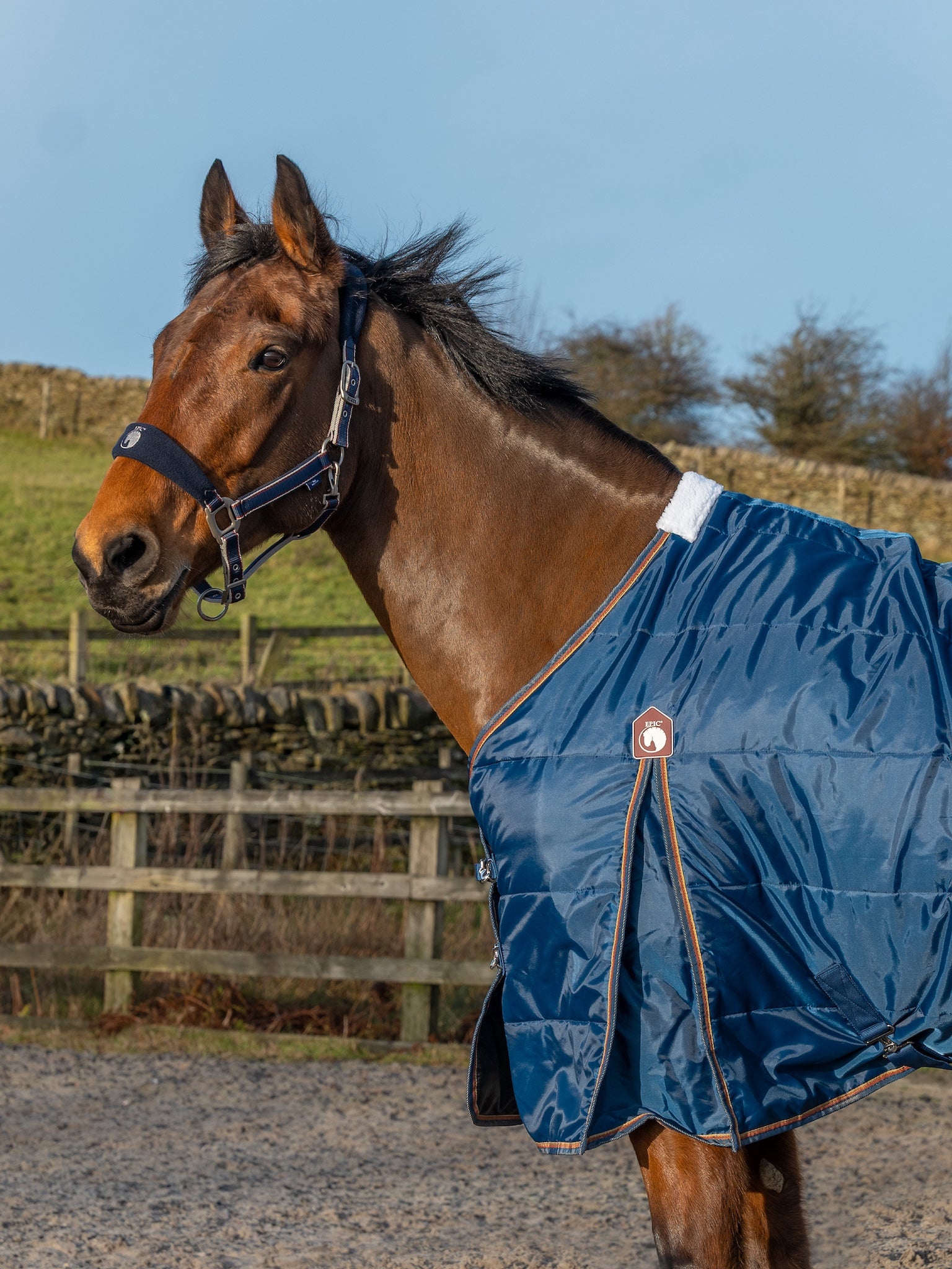 Epic Essential 200g Stable Rug - Regular Fit