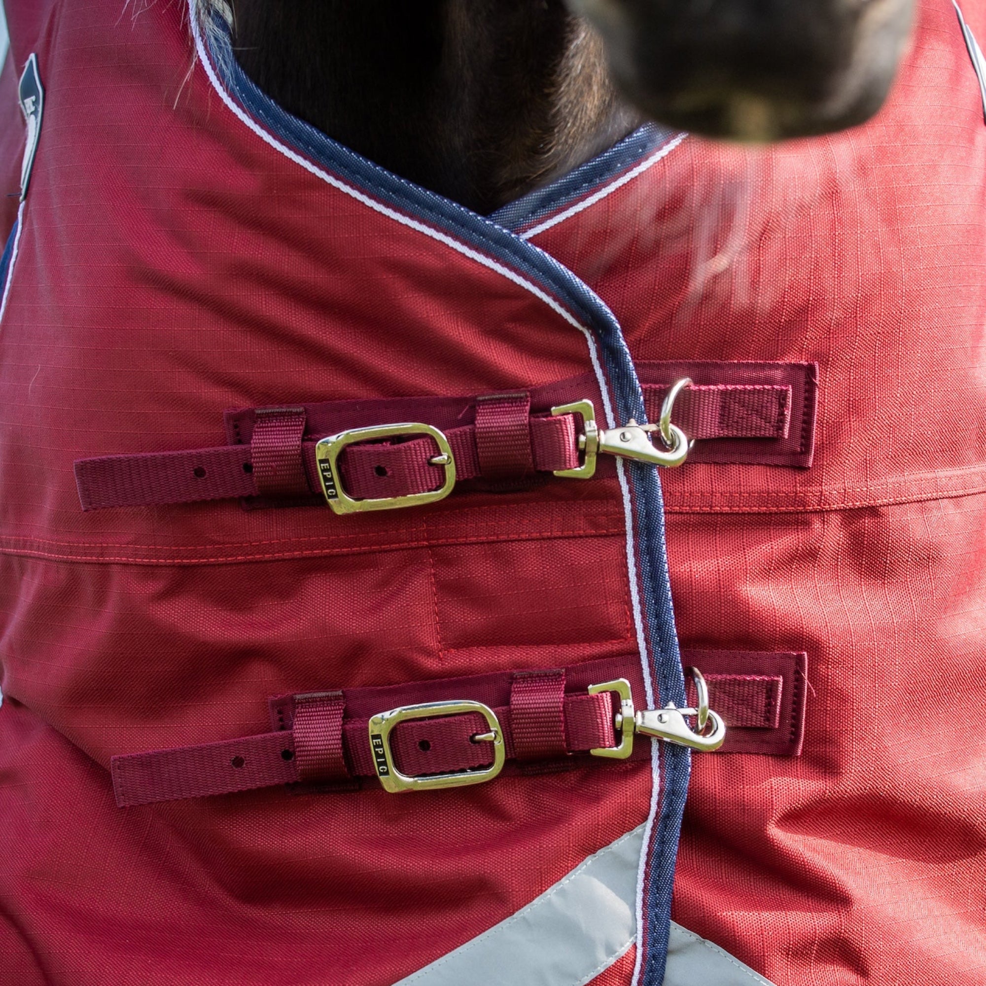 Close-up of a red horse blanket with silver buckles and reflective stripes.
