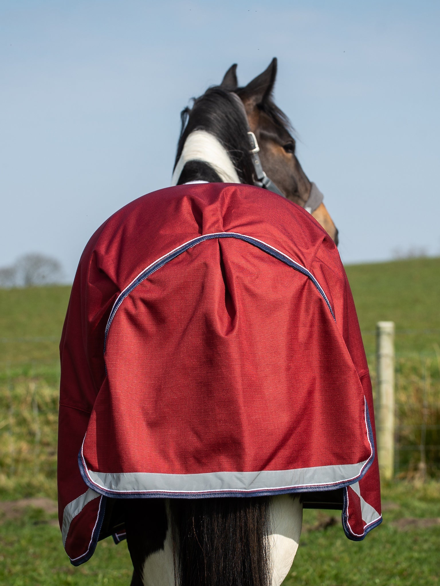 Epic Essential 40g Turnout Rug  -  Regular Fit