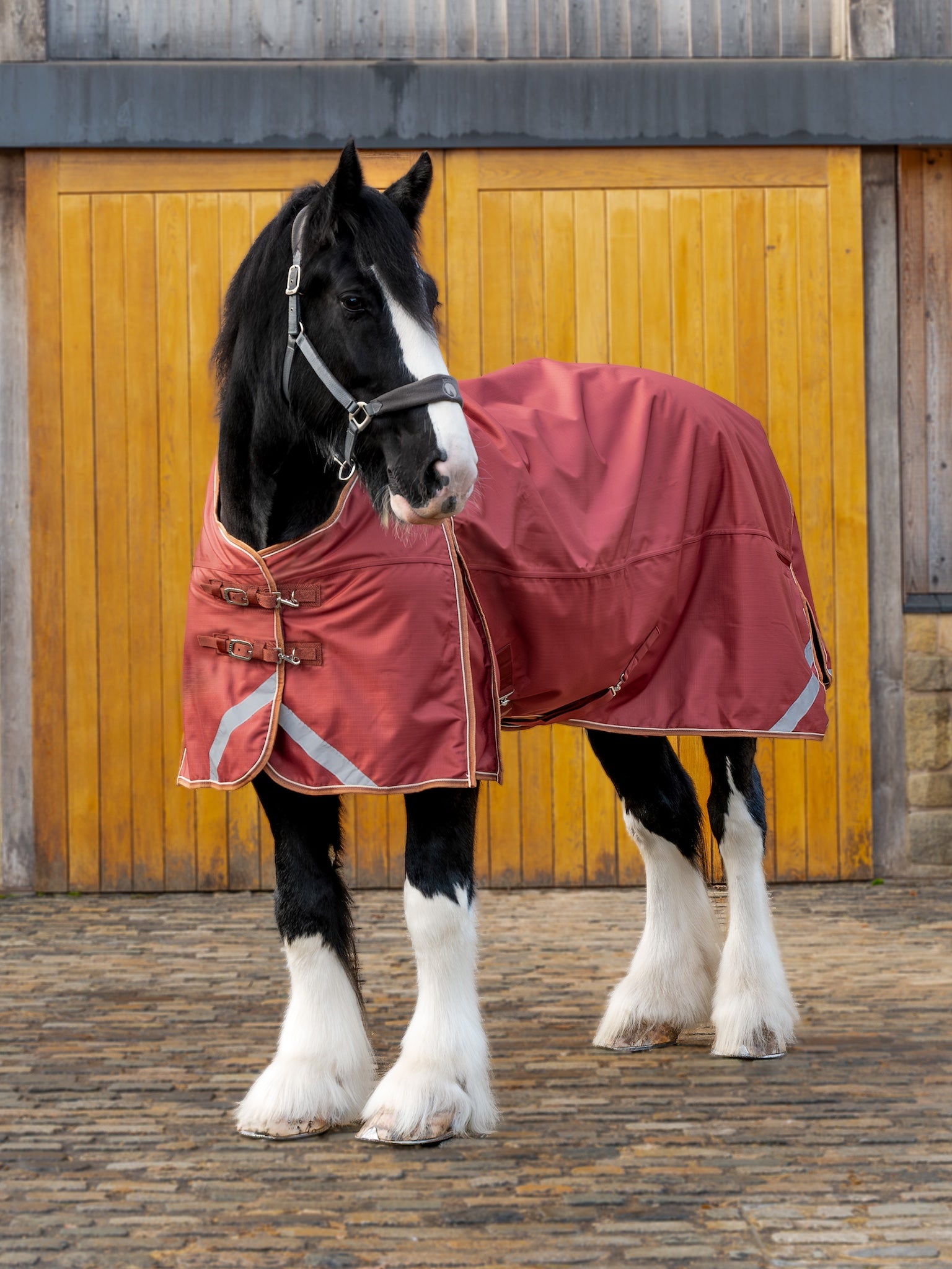 Epic Essential 200g Turnout Rug - Broad Fit