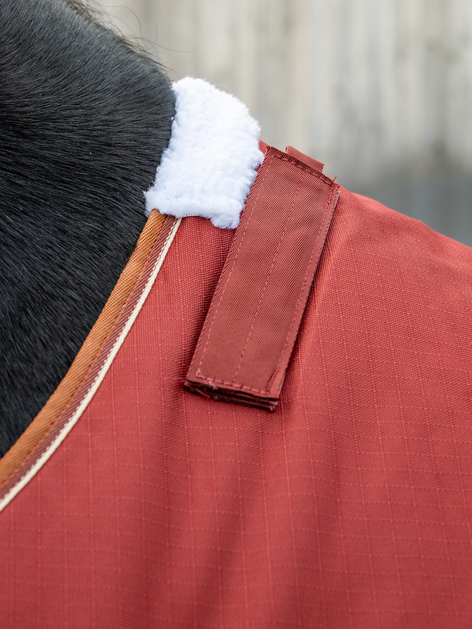 Epic Essential 200g Turnout Rug - Broad Fit