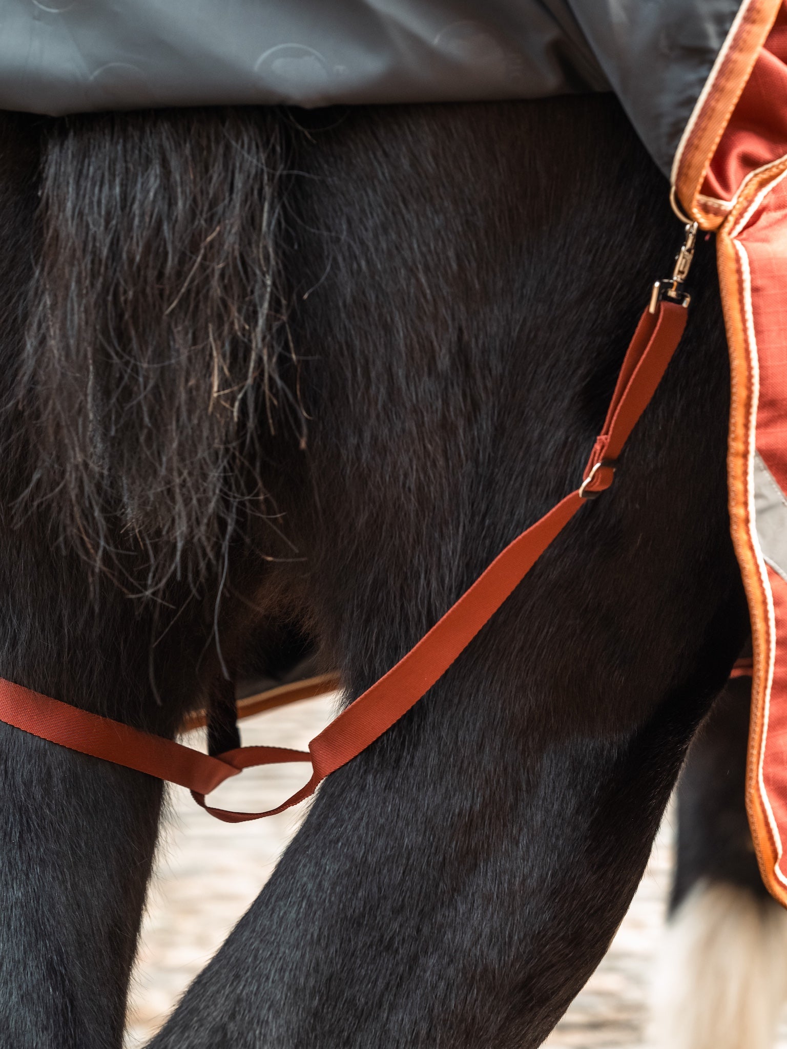 Epic Essential 200g Turnout Rug - Broad Fit