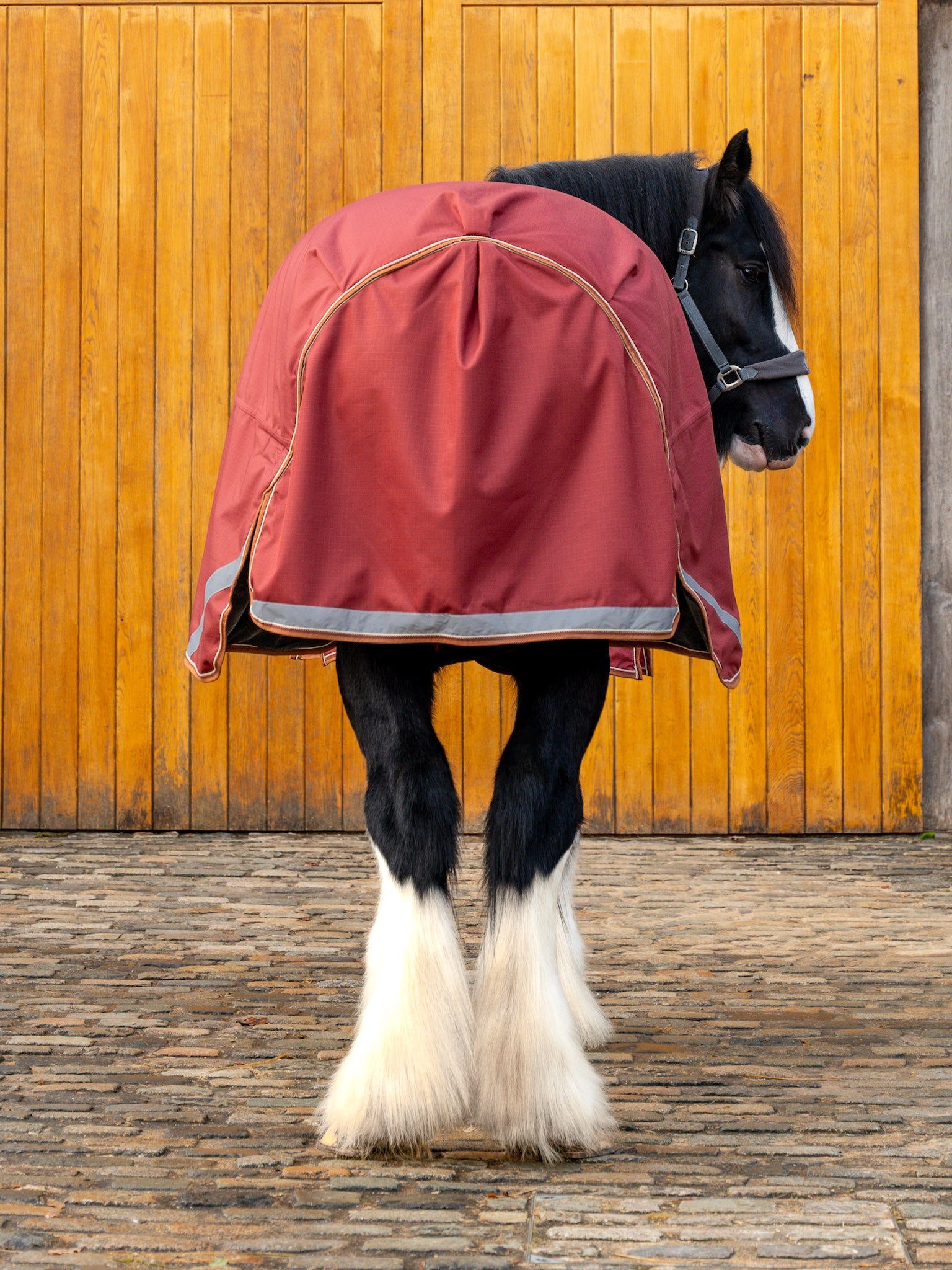 Epic Essential 200g Turnout Rug - Broad Fit