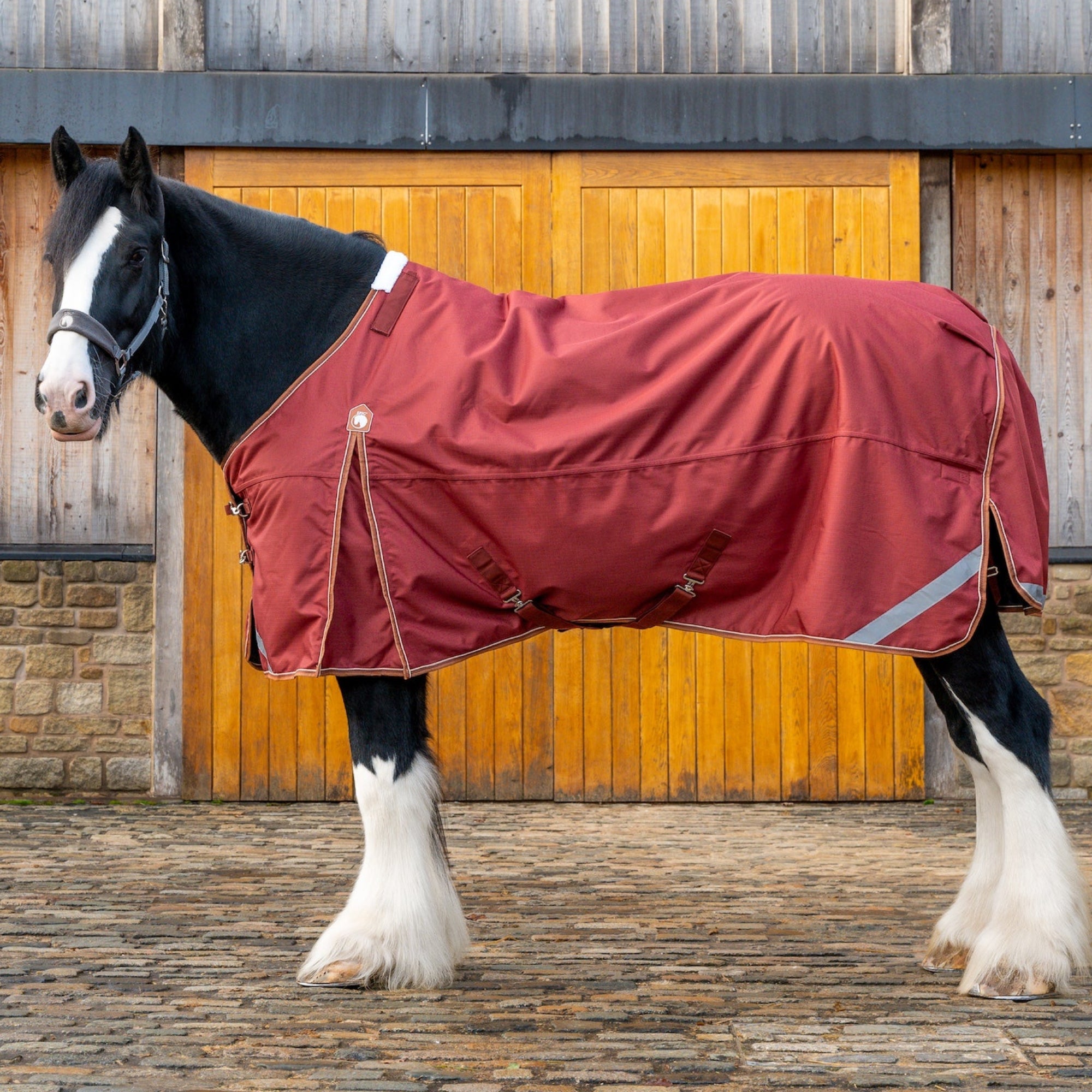 Horse wearing a red blanket standing in front of a wooden stable door.