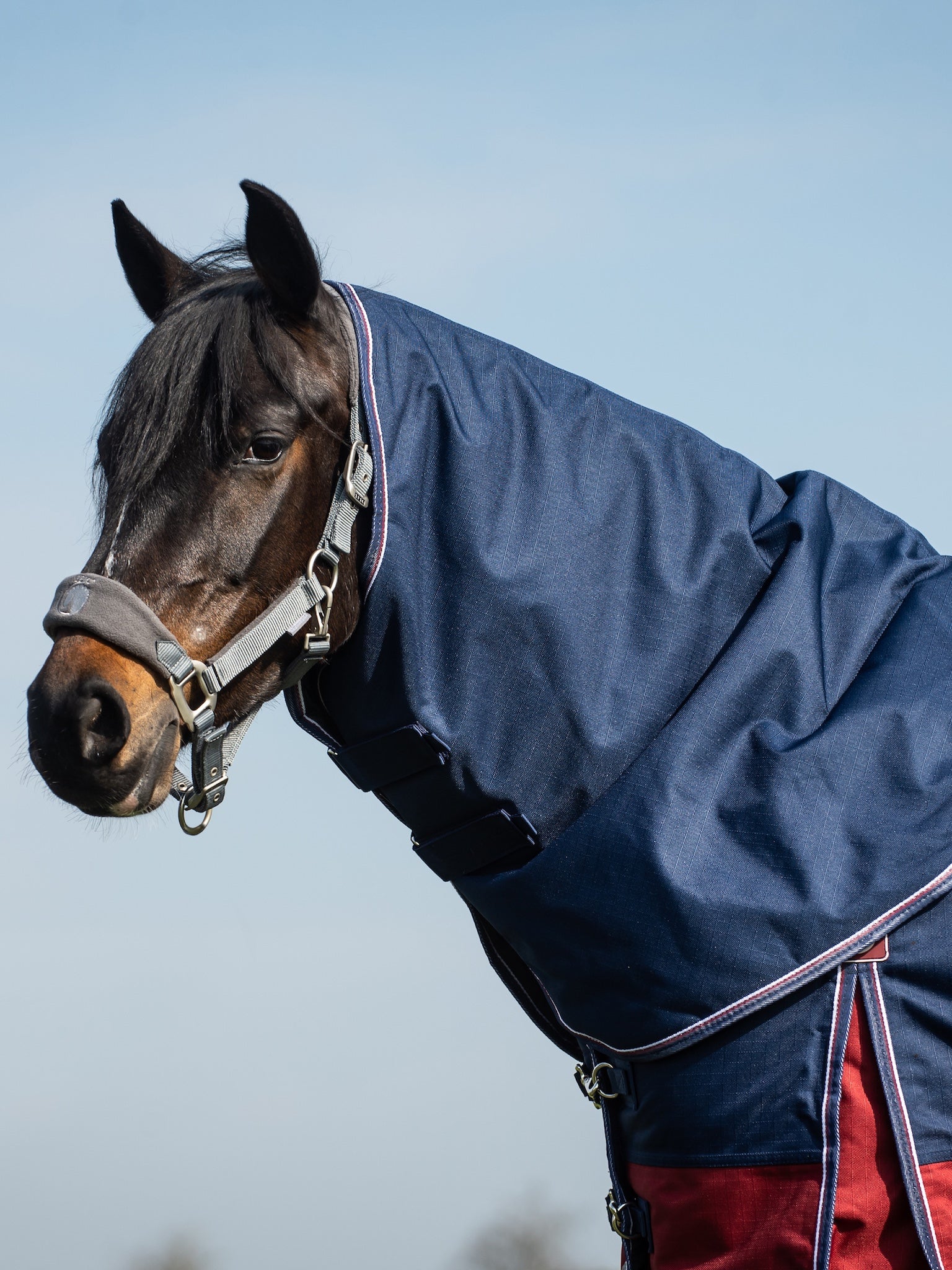 Epic Essential 200g Turnout Hood - Regular Fit