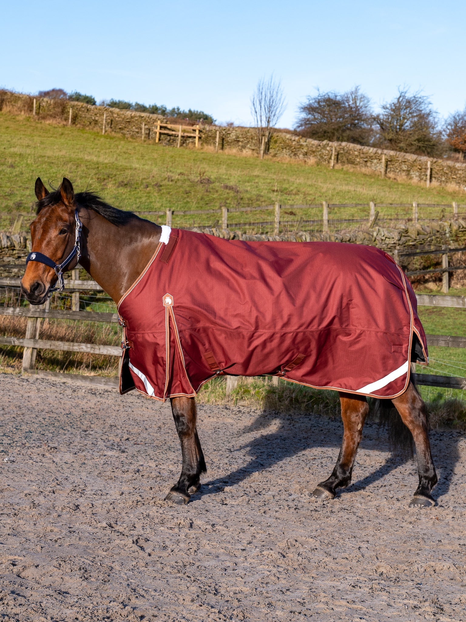 Epic Essential 200g Turnout Rug - Regular Fit