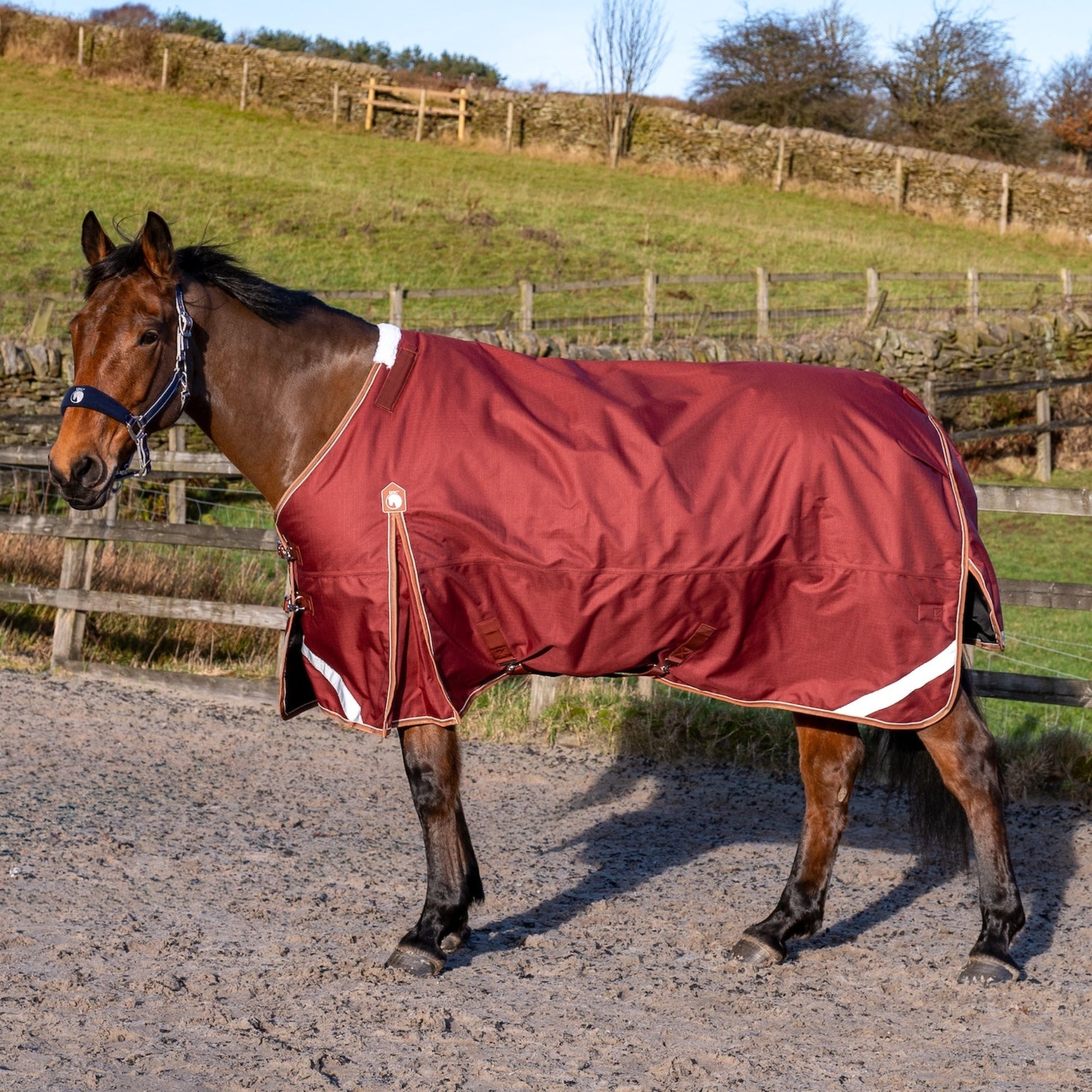 Horse wearing a red blanket standing on a sand with a grassy field and wooden fence in the background.