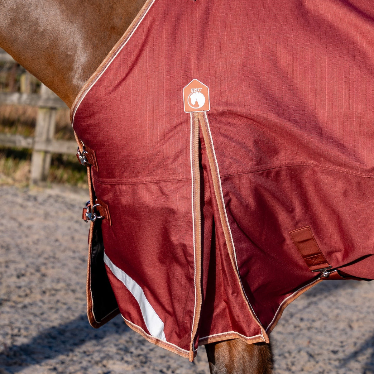 Close-up of a horse wearing a red blanket with a brand logo in an outdoor setting.