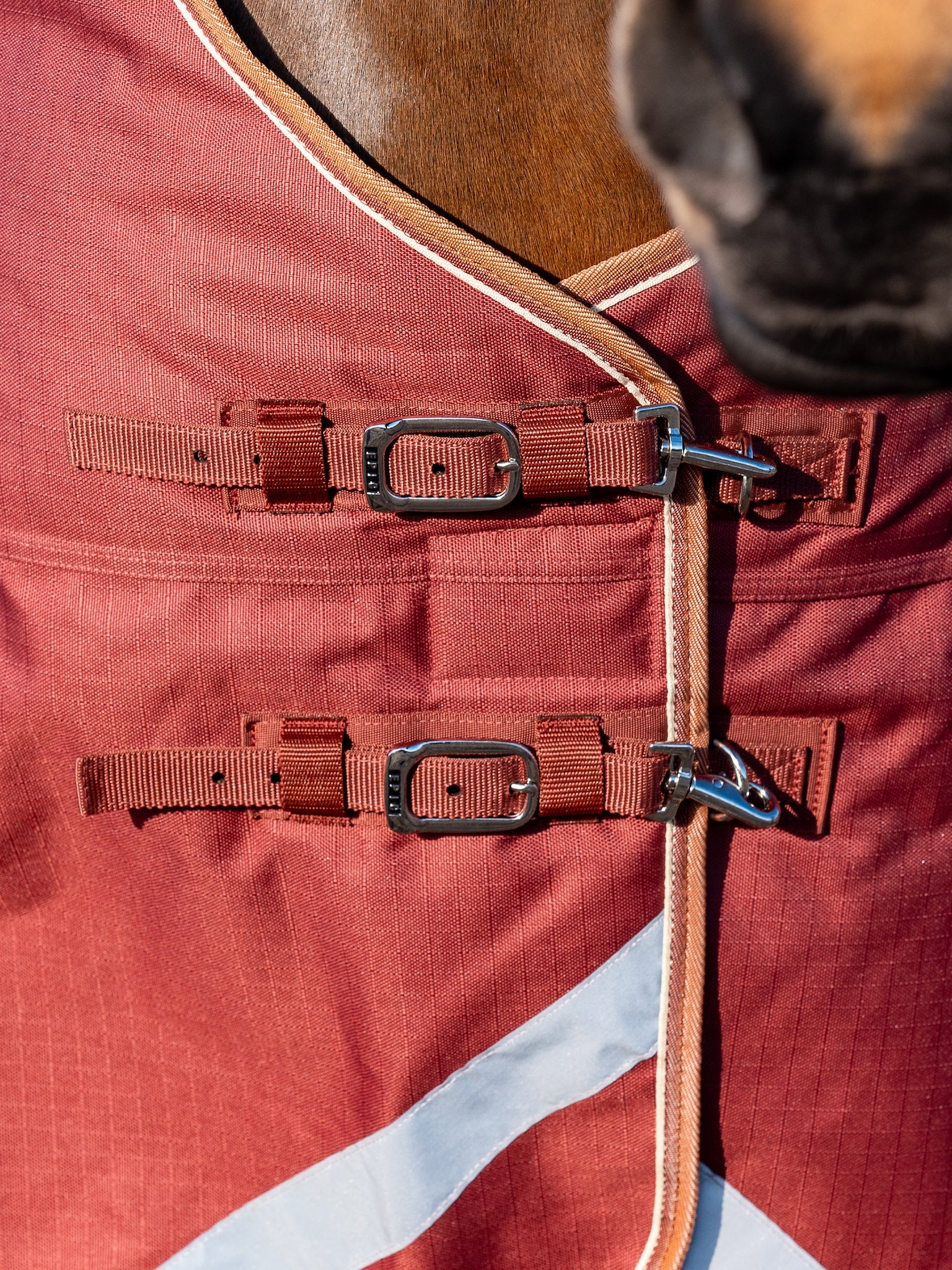 Epic Essential 200g Turnout Rug - Regular Fit