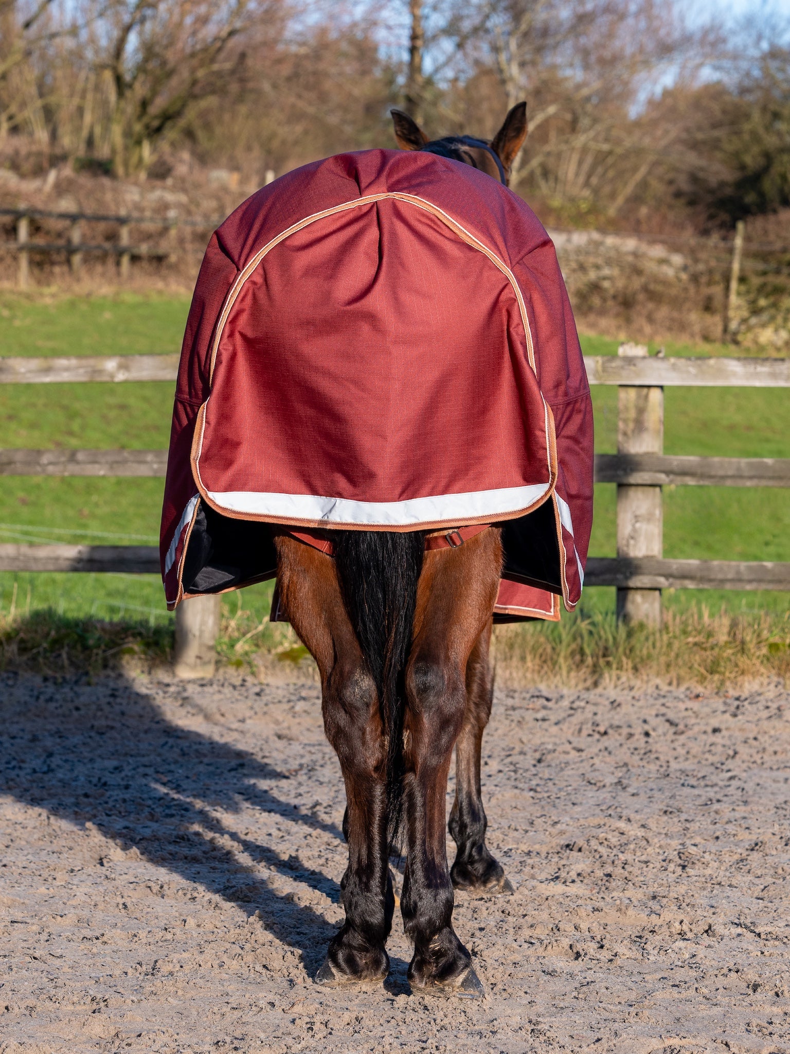 Epic Essential 200g Turnout Rug - Regular Fit
