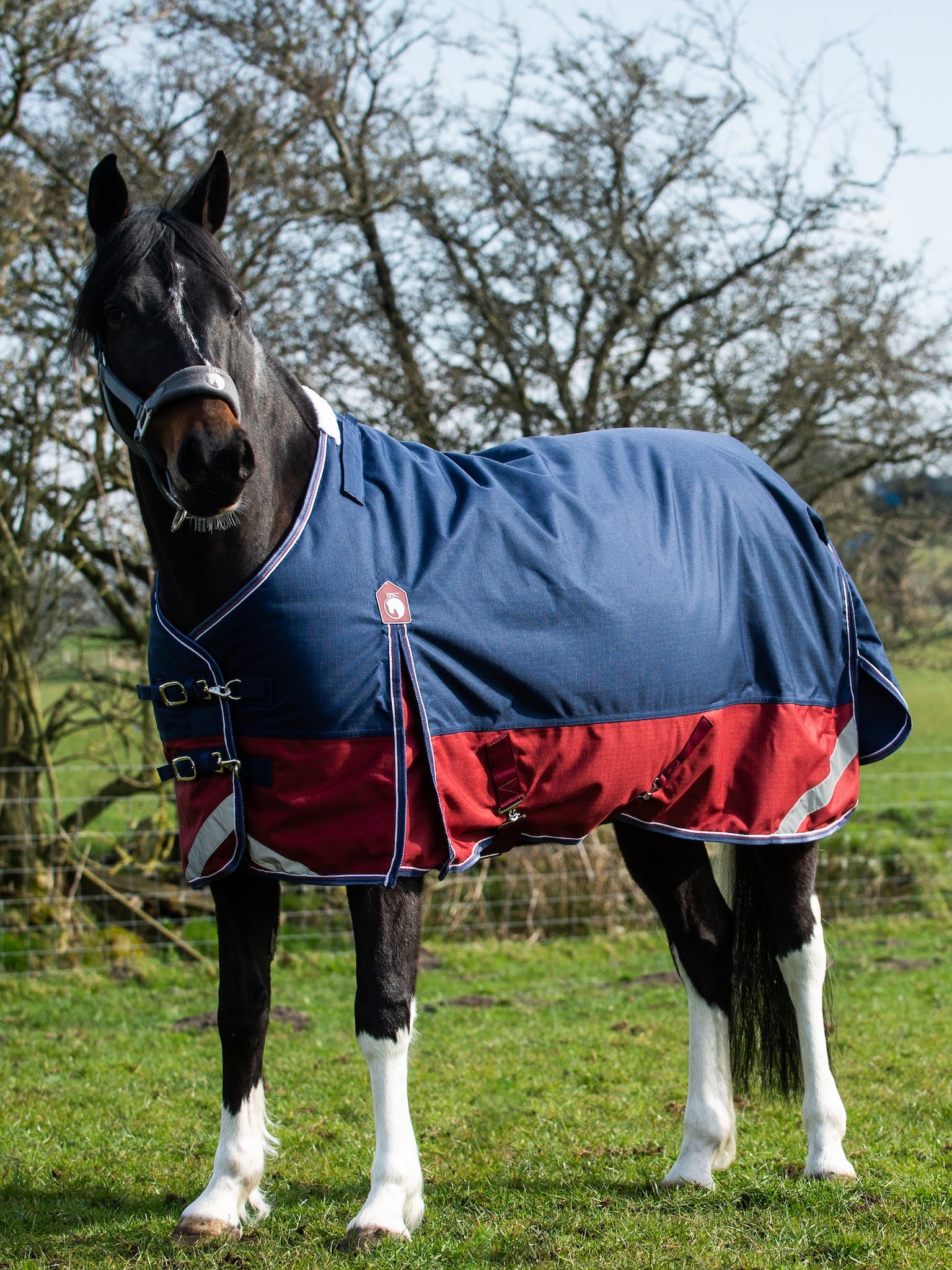 Epic Essential 200g Turnout Rug - Regular Fit