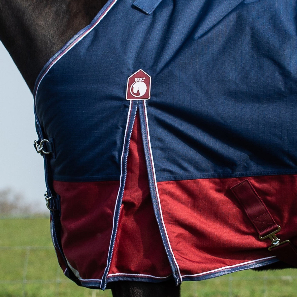 Navy and red horse blanket with a visible brand logo on a grassy background