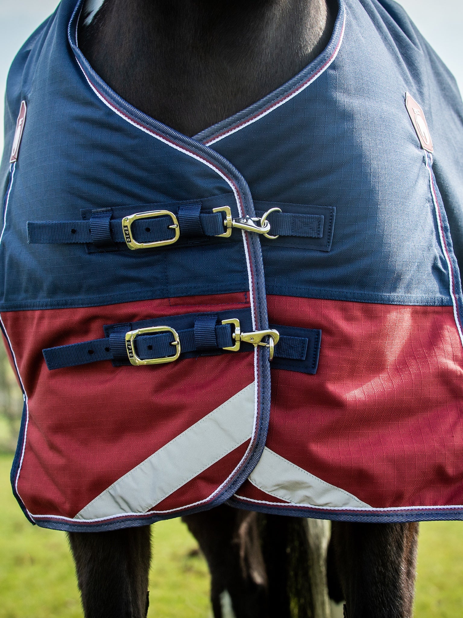 Epic Essential 200g Turnout Rug - Regular Fit