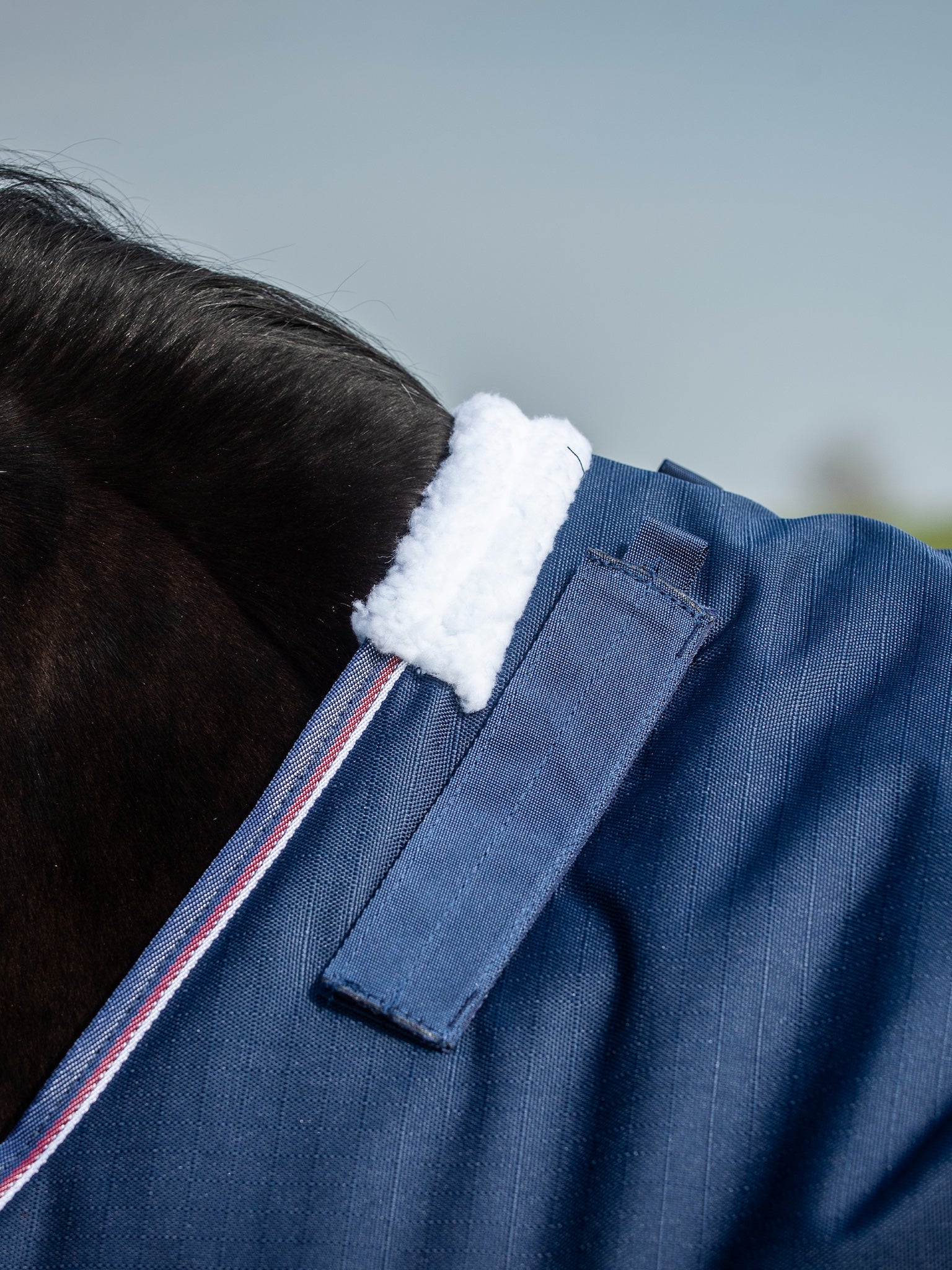 Epic Essential 200g Turnout Rug - Regular Fit