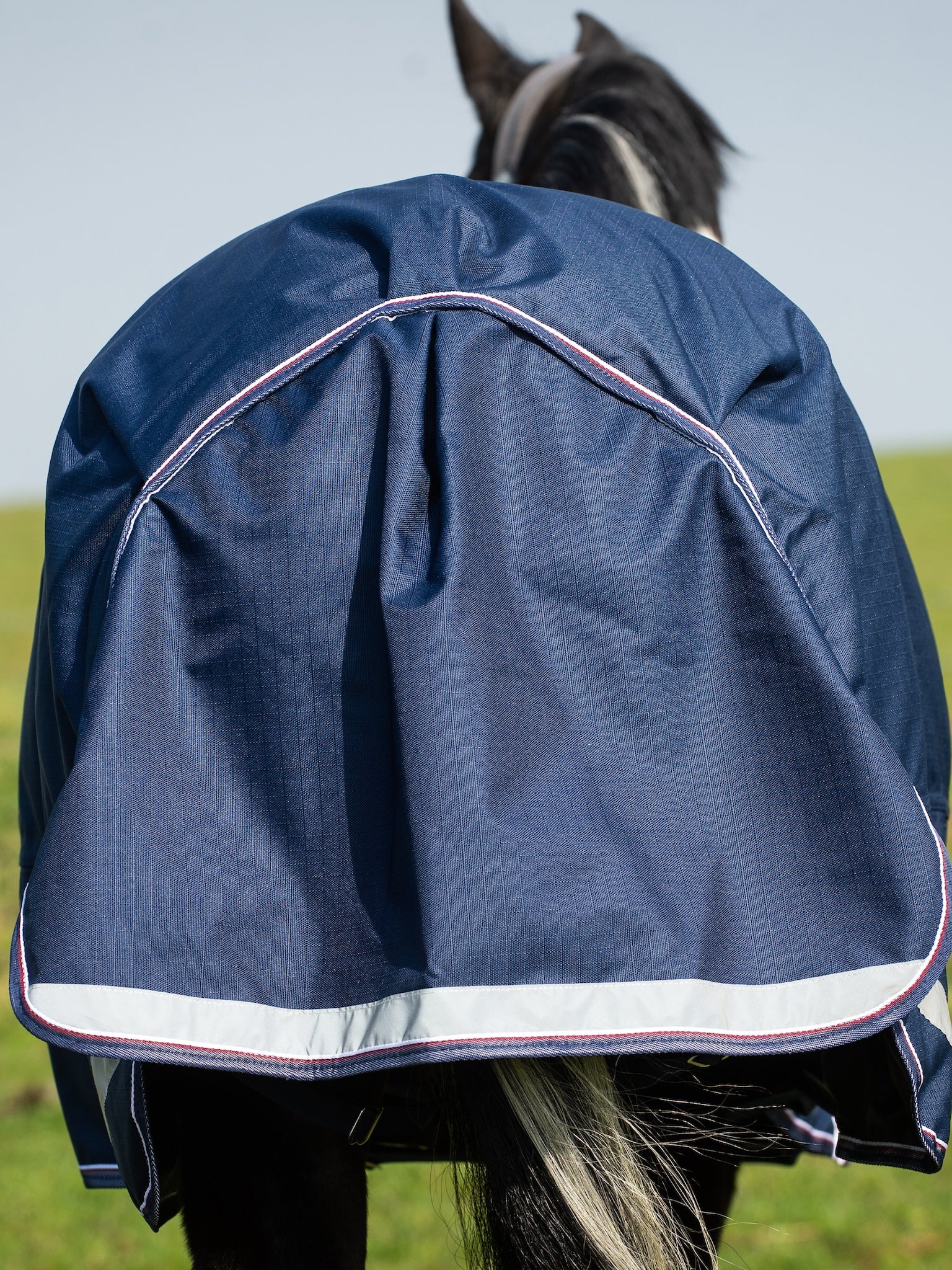 Epic Essential 200g Turnout Rug - Regular Fit