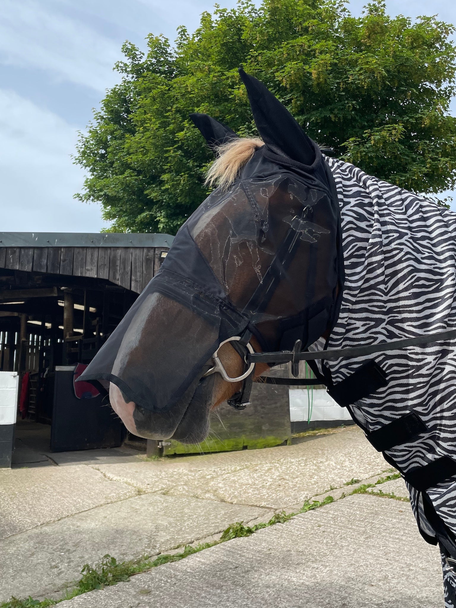 Epic Classic Nylon Fly Mask