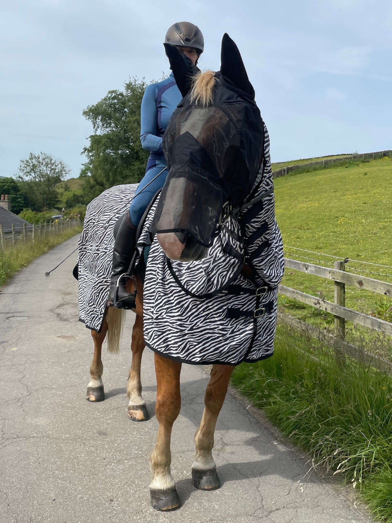 Epic Classic Nylon Fly Mask