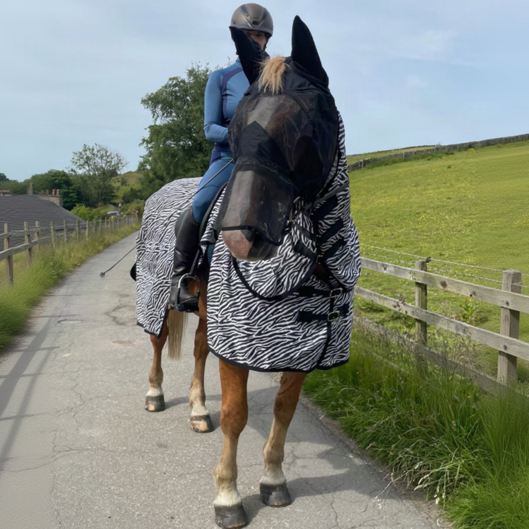 Horse wearing a zebra-patterned rug with a person on horseback in a rural setting.
