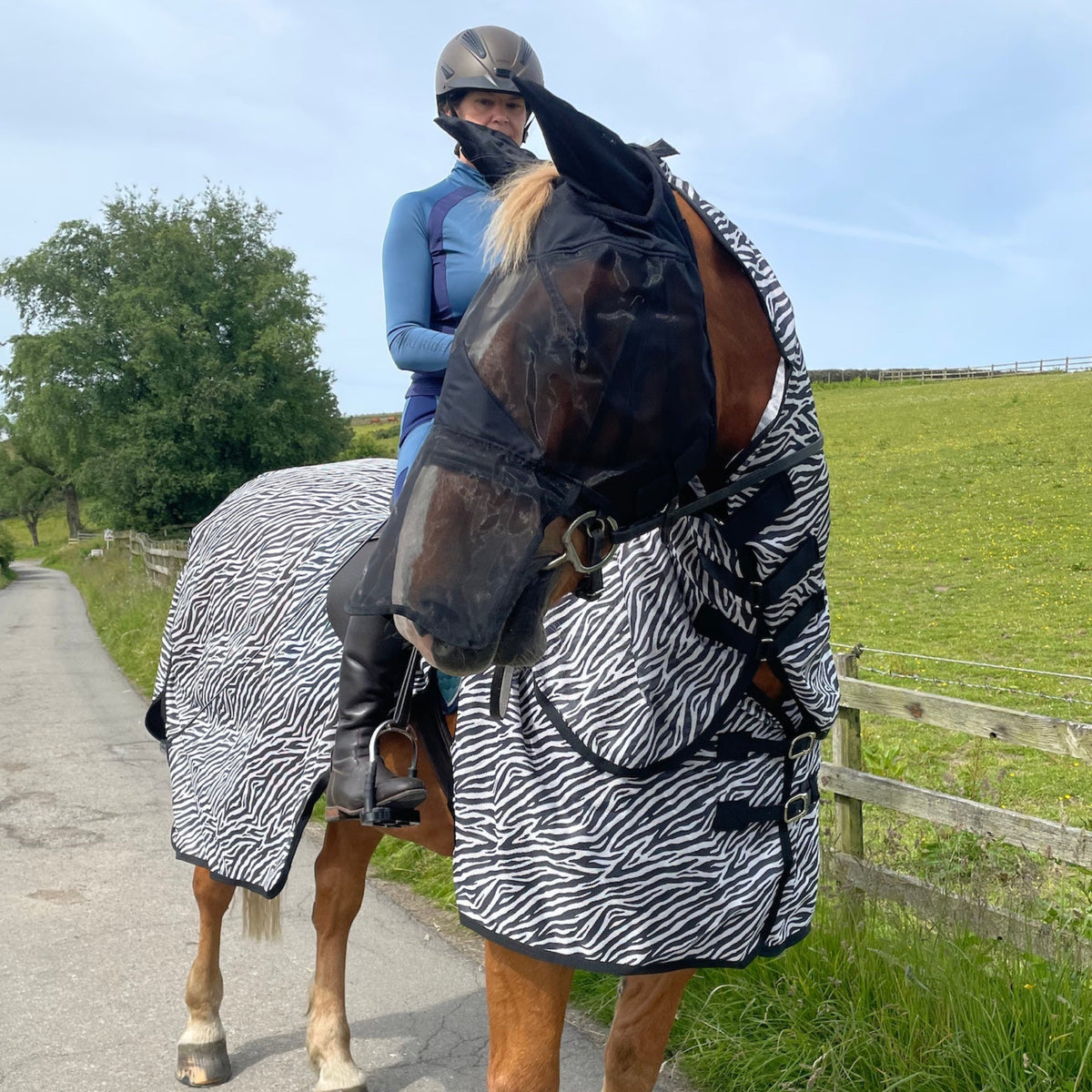Horse wearing a zebra-patterned blanket with a person on horseback in a rural setting.