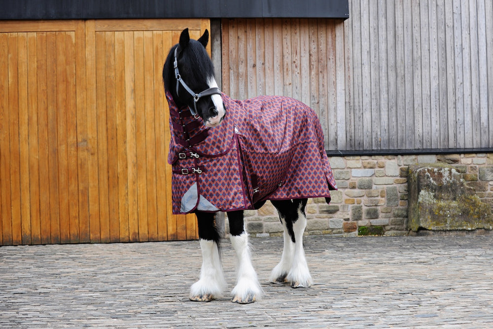 Heavyweight Rugs Classic 50g Combo Turnout Rug | Heavy Horses | The Big Horse Shop