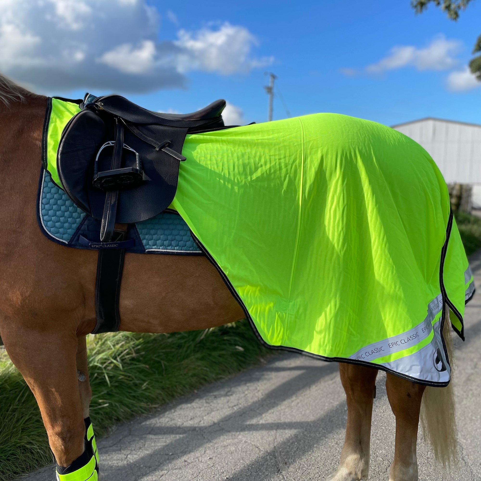 A horse outdoors wearing a bright neon yellow-green reflective turnout blanket with a black saddle and tack, standing on a paved path with grass and blue sky in the background.