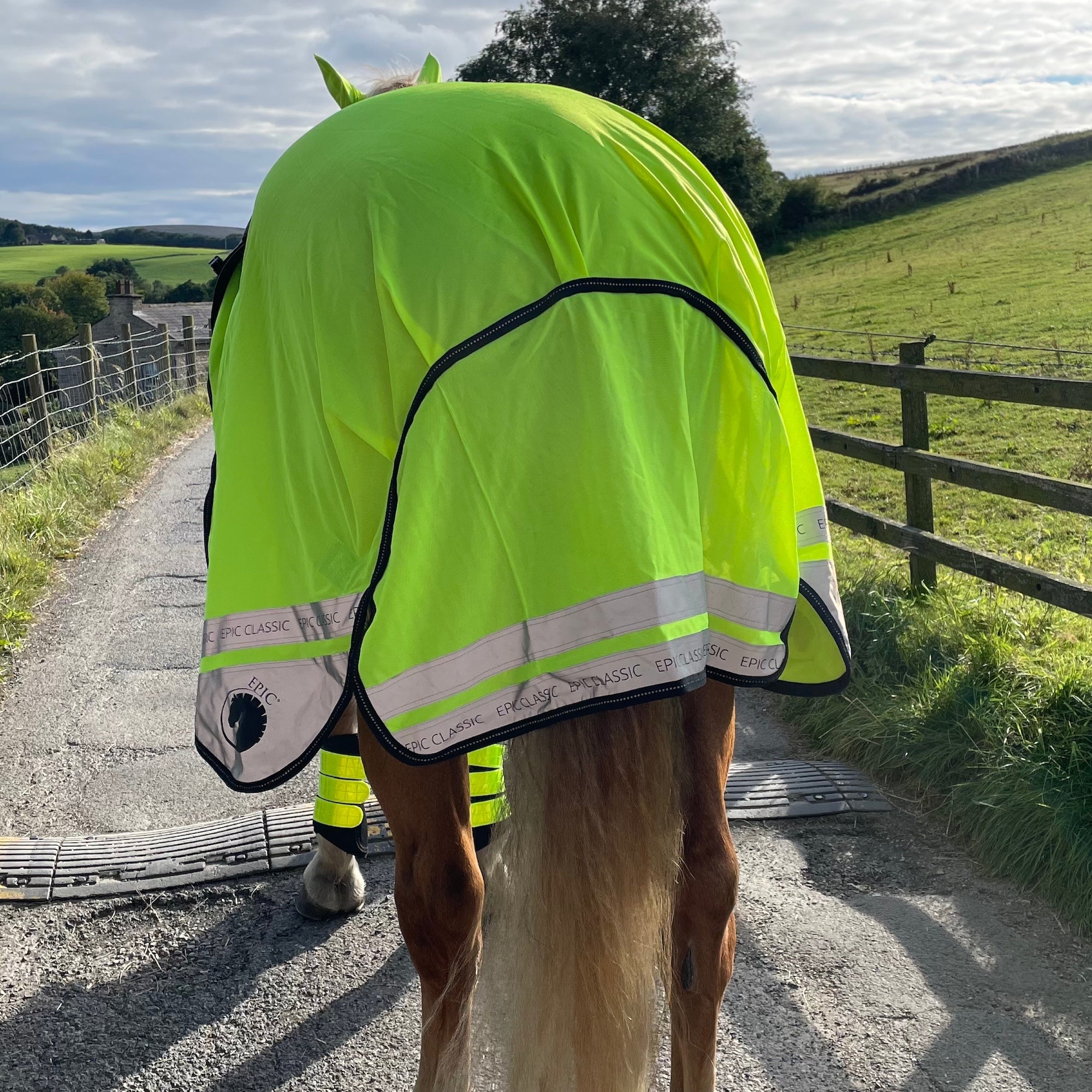 A horse standing on a country path wearing a bright neon yellow-green reflective horse blanket with black trim and silver reflective bands. The background shows a rural landscape with green fields, a wooden fence, and a cloudy sky.