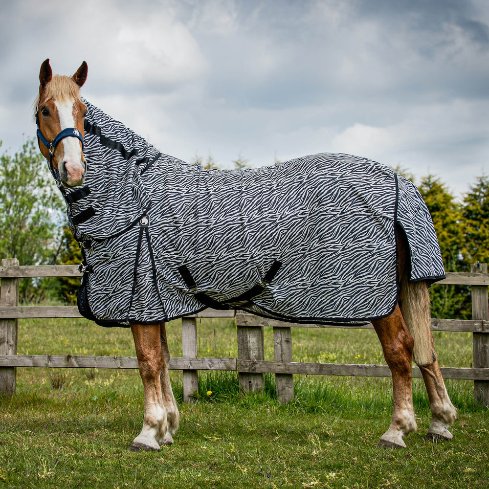 Heavy horse rugs & heavy horse boots