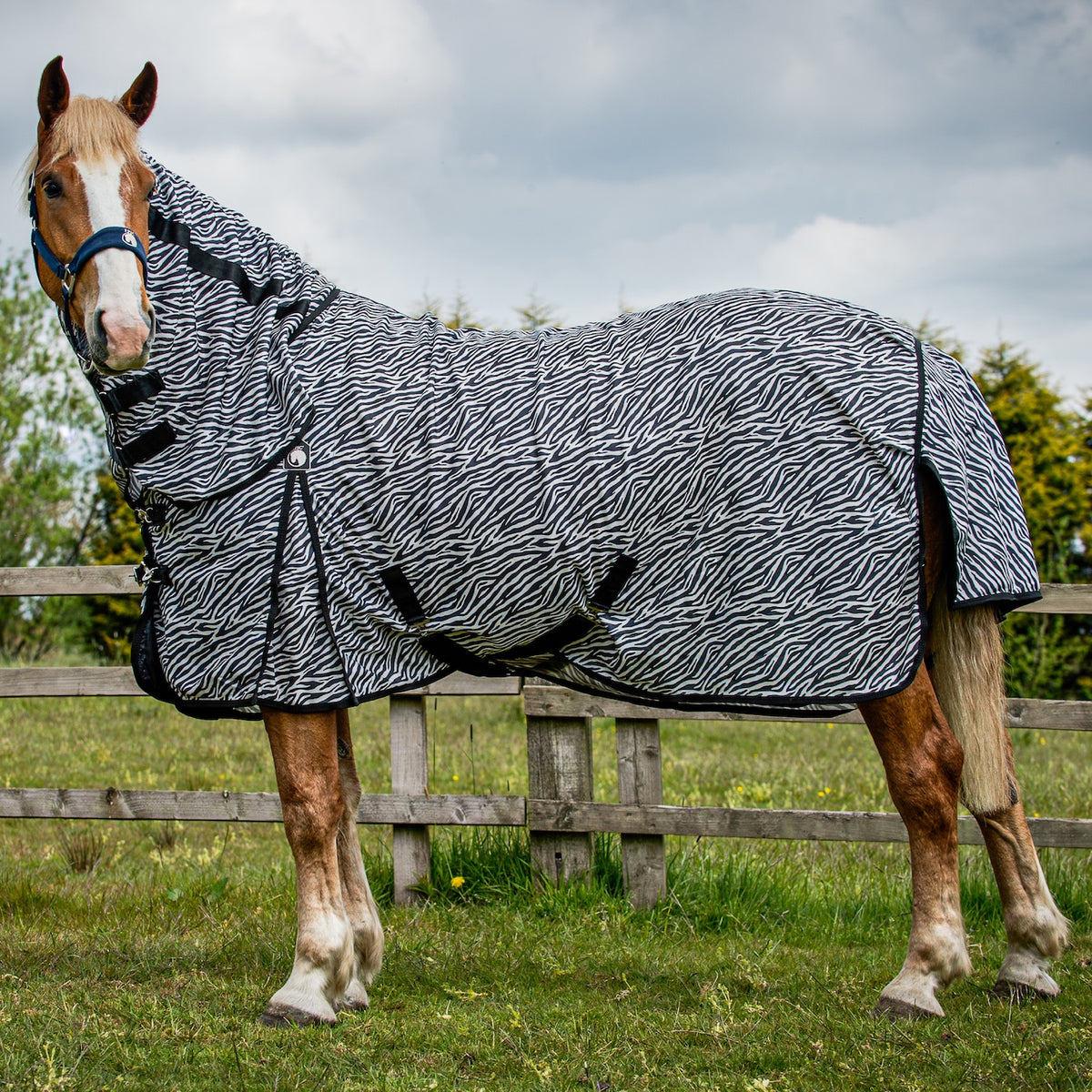 Epic Equestrian | Made to Fit, Built to Last