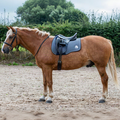 Epic Classic Hi-Wither GP Saddle Cloth - Grey