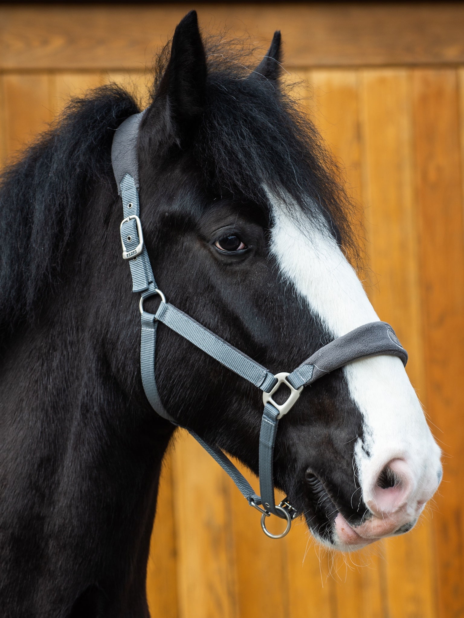 Epic Classic Adjustable Fleece Head Collar