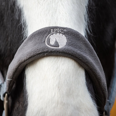 Horse wearing a brown noseband with 'EPIC' logo on a dark background