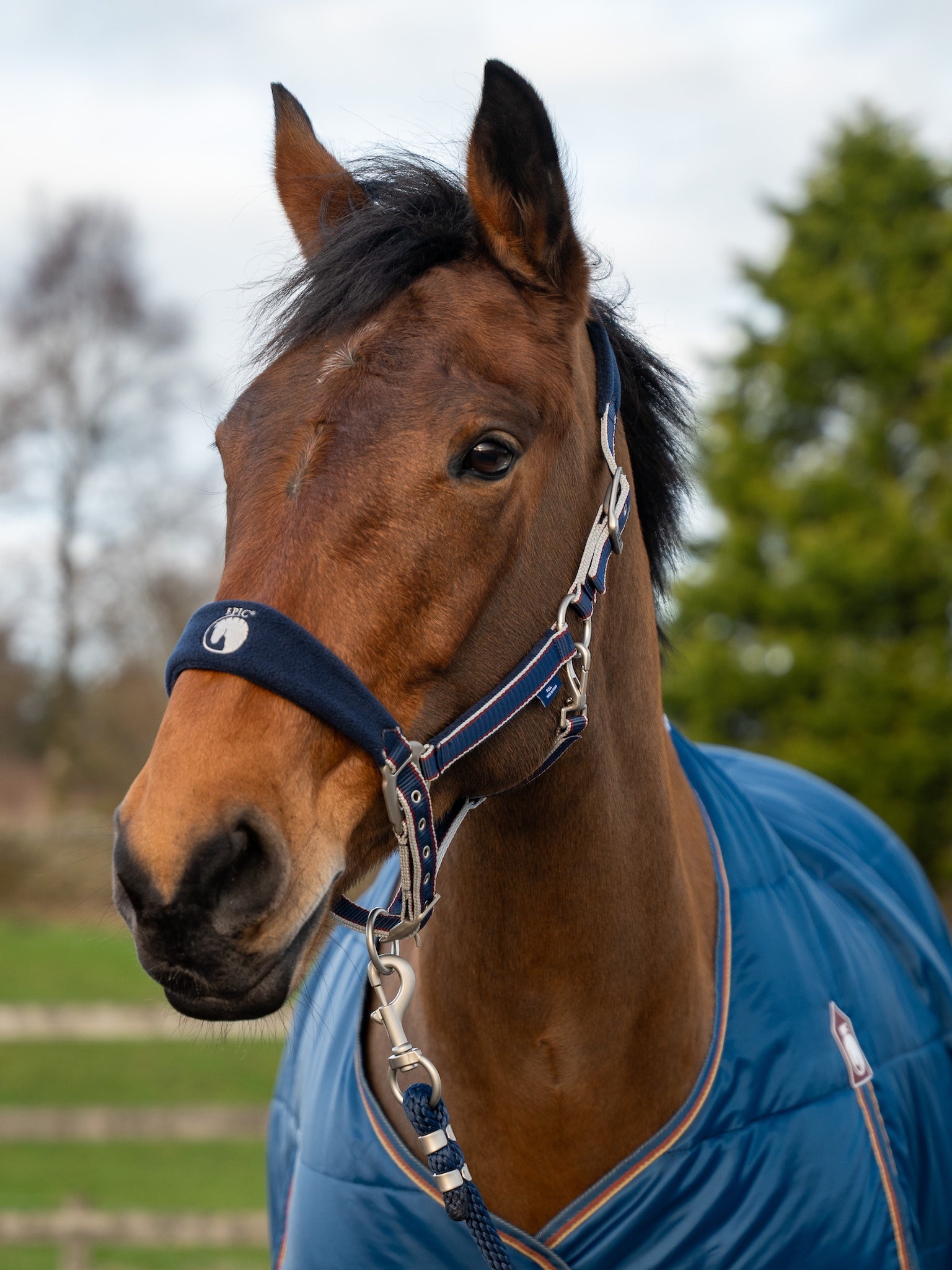 Epic Classic Adjustable Fleece Head Collar & Leadrope