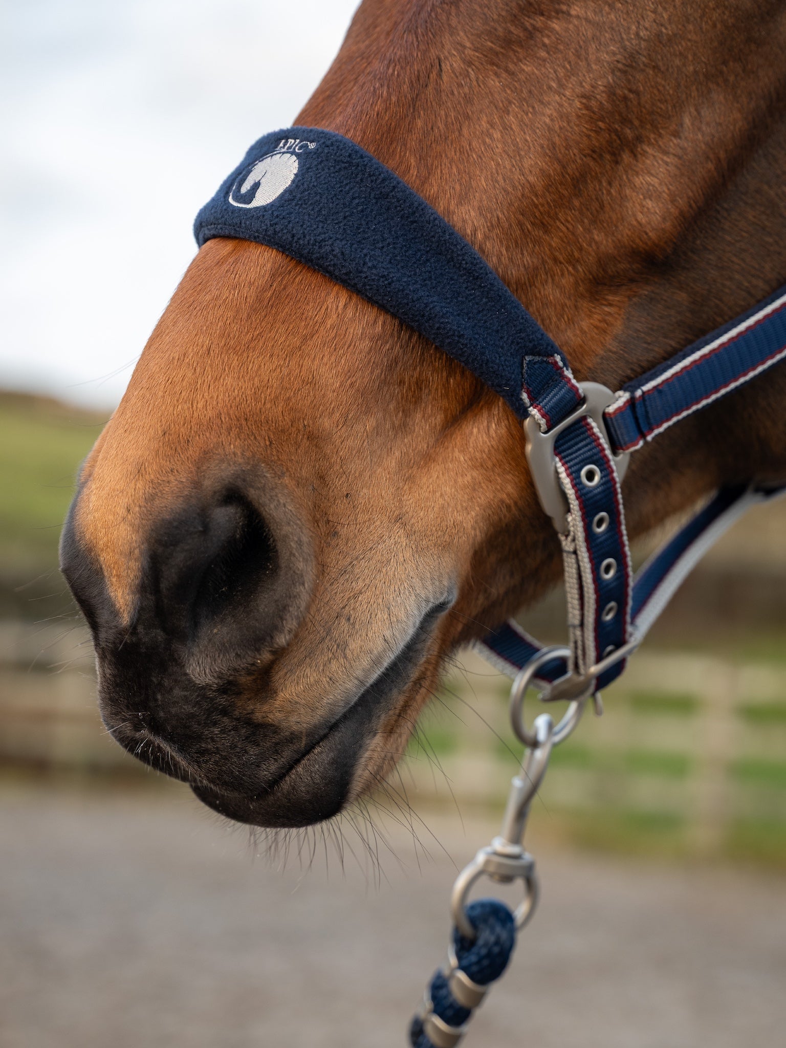 Epic Classic Adjustable Fleece Head Collar & Leadrope