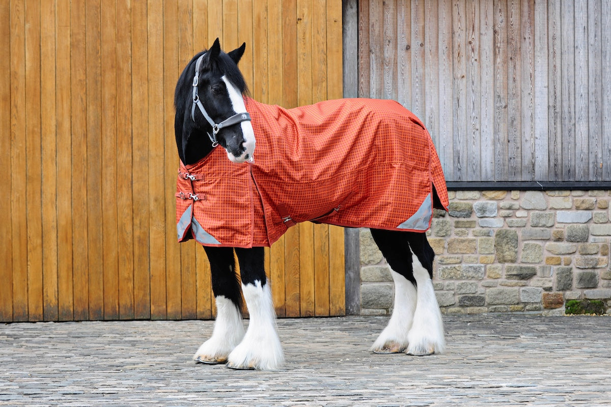 Epic Classic 100g Turnout Rug - Broad Fit