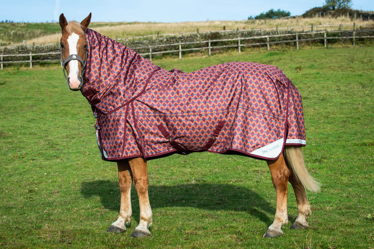 Arriving 3 January - Epic Classic 50g Combo Turnout Rug - Broad Fit