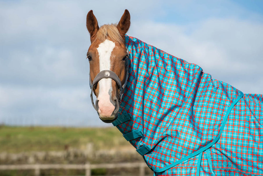Horse Turnout Rugs & Hoods