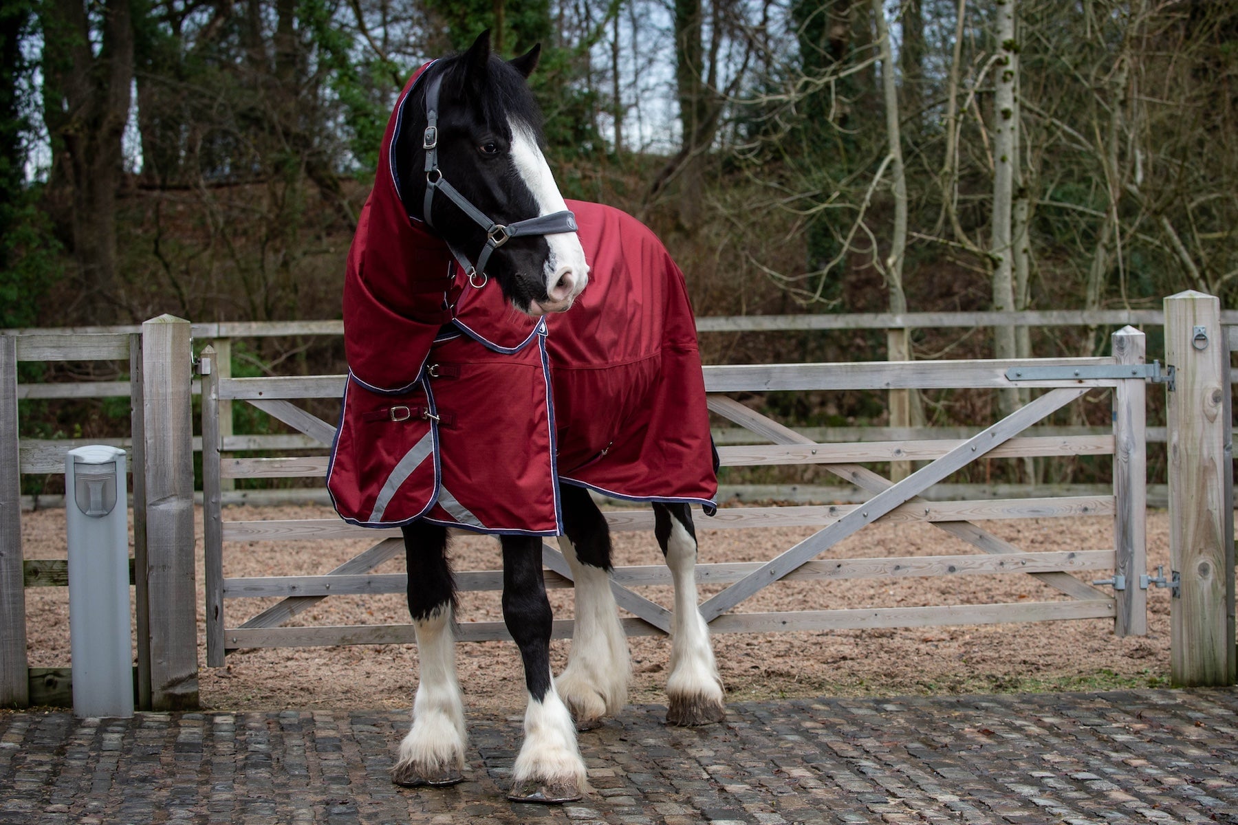 Mid length hotsell leopard skirts horse