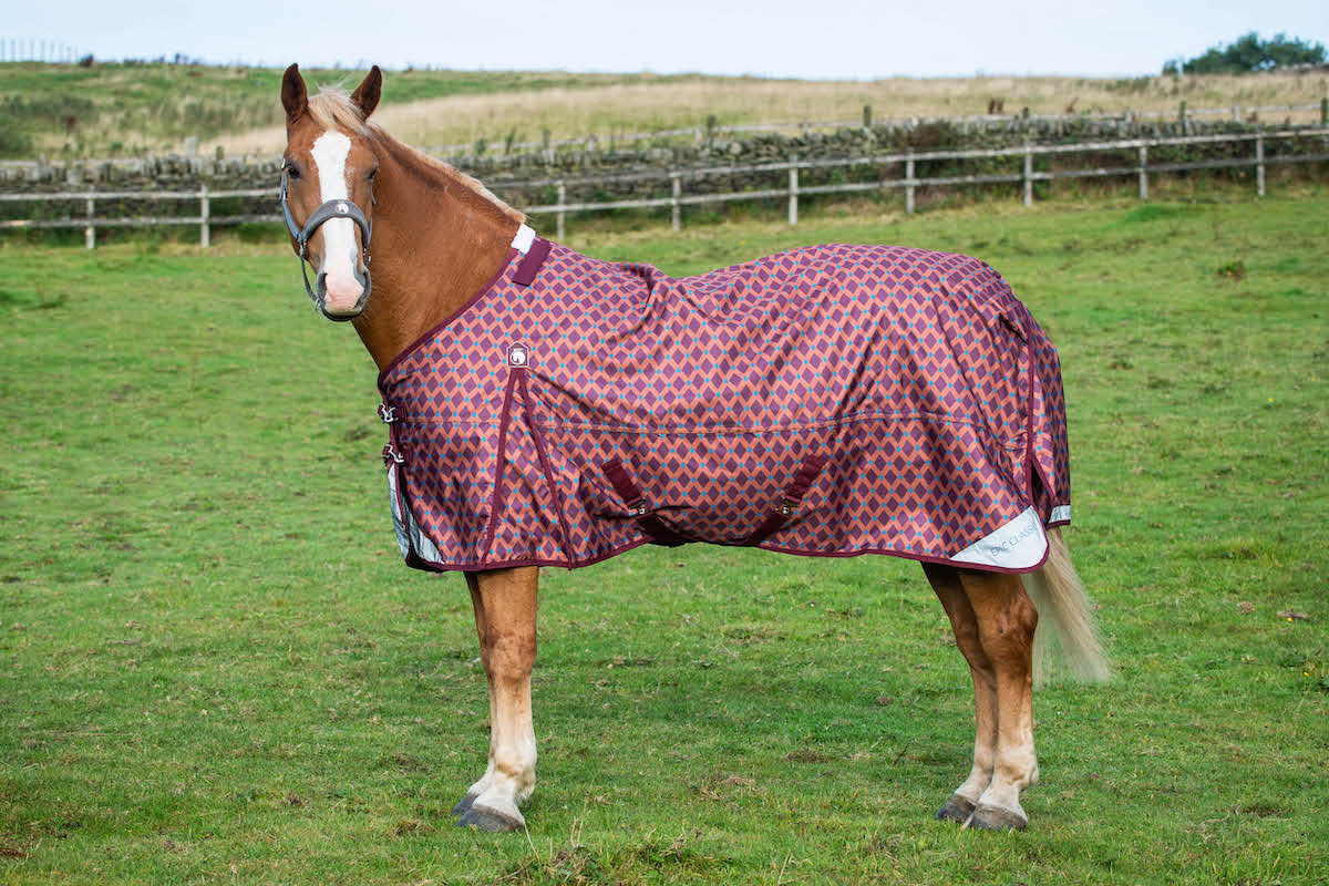 Arriving 3 January - Epic Classic 50g Turnout Rug - Broad Fit